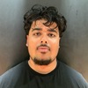 Balkaran Punaich