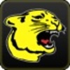 Cougars