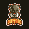 Bucks County Buffalo