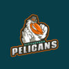 Pittsburgh Pelicans